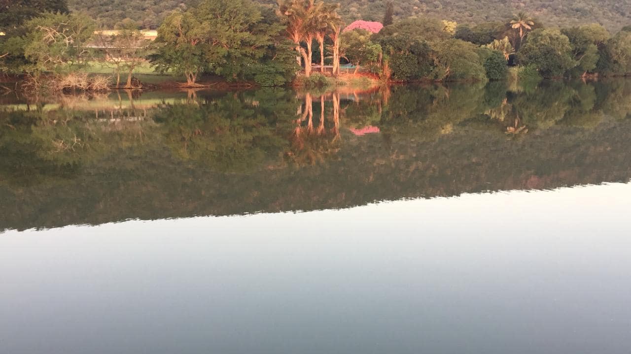 65fec169-3711-431b-8360-8b5adbe66985