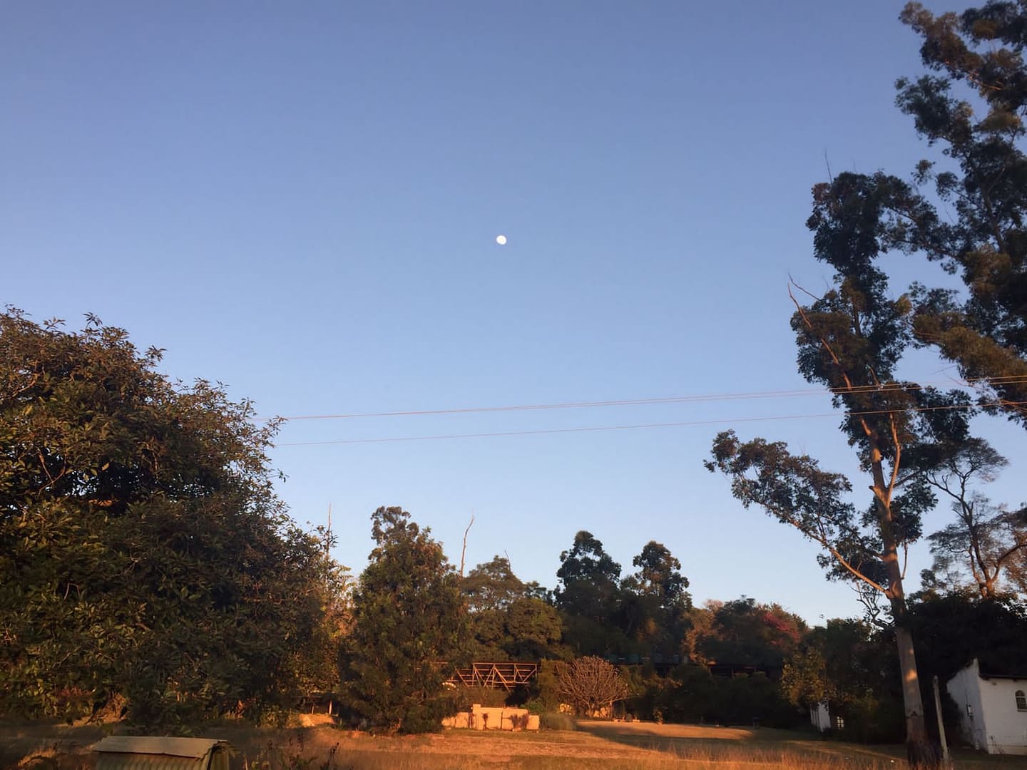 WhatsApp Image 2022-01-03 at 13.07.31